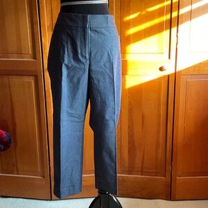 Ann Taylor Factory Blue Cropped Pants